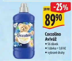 Albert Coccolino aviváž nabídka