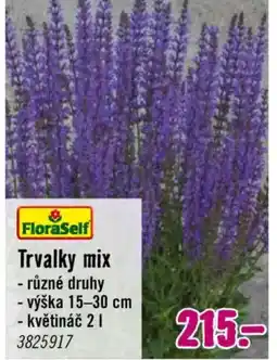 Hornbach Trvalky mix nabídka
