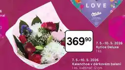 Tesco Kytice Deluxe, 1 ks nabídka