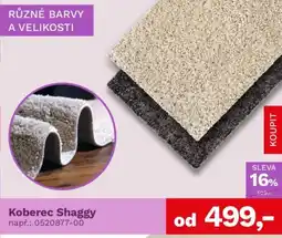 Asko Koberec Shaggy nabídka