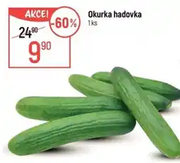 Globus Okurka hadovka nabídka