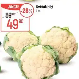 Globus Květák bílý nabídka