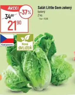 Globus Salát Little Gem zelený nabídka