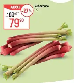 Globus Rebarbora nabídka