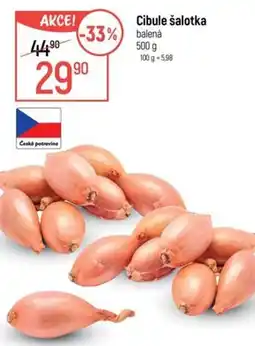 Globus Cibule šalotka nabídka