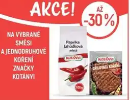 Globus Na vybrané směsi a jednodruhové koření značky Kotányi nabídka