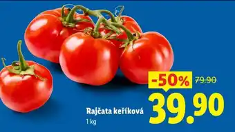 Rajčata keříková