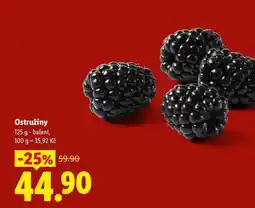 Lidl Ostružiny nabídka