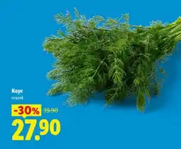 Lidl Kopr nabídka