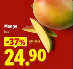 Lidl Mango nabídka
