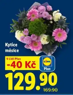 Lidl KYTICE MĚSÍCE nabídka