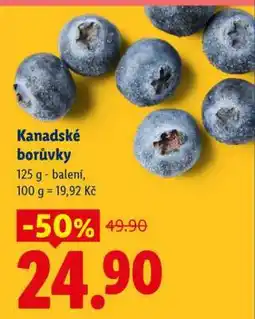 Lidl KANADSKÉ BORŮVKY nabídka