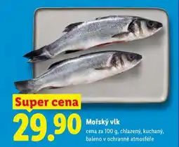 Lidl Mořský vlk nabídka