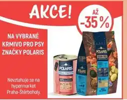 Globus Na vybrané krmivo pro psy značky polaris nabídka