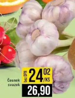 Jip Česnek svazek nabídka
