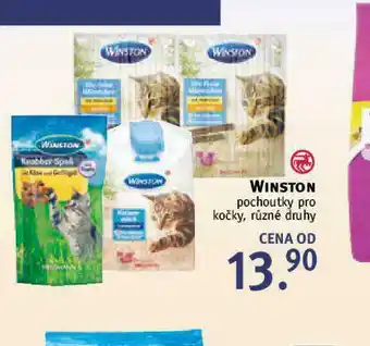 Rossmann Winston pochoutky pro kočky nabídka