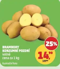 Penny Market Brambory konzumní pozdní nabídka