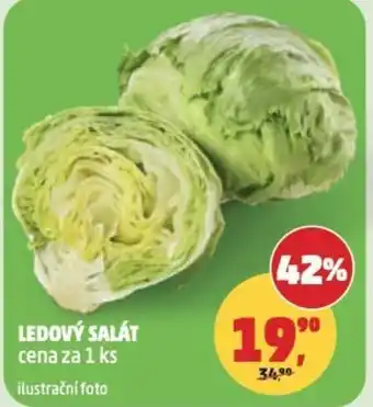 Penny Market Ledový salát nabídka