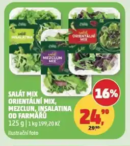 Penny Market Salát mix orientální mix, mezclun, insalatina od farmářů nabídka