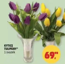 Penny Market Kytice tulipány nabídka
