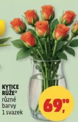 Penny Market Kytice růže nabídka