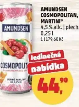 Penny Market Amundsen cosmopolitan, martini 4,5% alk. nabídka