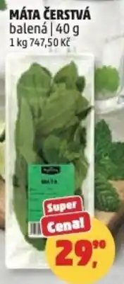 Penny Market Máta čerstvá nabídka