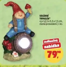 Penny Market Solární trpaslík nabídka