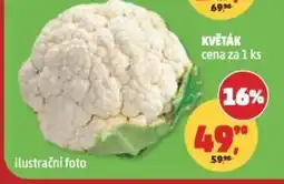 Penny Market KVĚTÁK nabídka