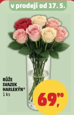 Penny Market Růže svazek harlekýn nabídka