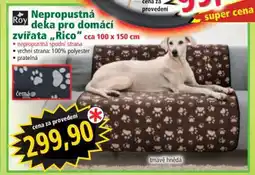 Norma Nepropustná deka pro domácí zvířata „Rico“ nabídka