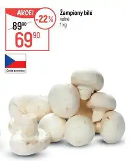 Globus Žampiony bílé volné nabídka