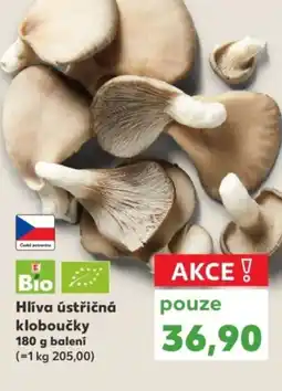 Kaufland Hlíva ústřičná kloboučky nabídka