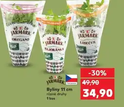 Kaufland Byliny 11 cm nabídka