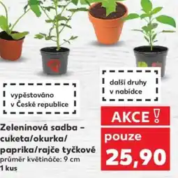 Kaufland Zeleninová sadba - cuketa/okurka/ paprika/rajče tyčkové nabídka