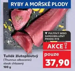 Kaufland Tuňák žlutoploutvý nabídka