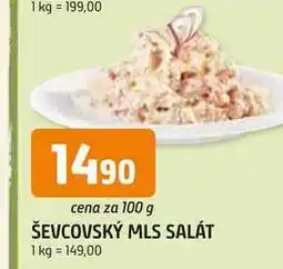 Trefa ŠEVCOVSKÝ MLS SALÁT nabídka