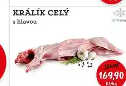 RABBIT řeznictví KRÁLÍK CELÝ s hlavou nabídka