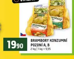 Terno BRAMBORY KONZUMNÍ POZDNÍ A, B nabídka