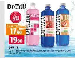 Terno DRWITT 0,75l nesycený nealkoholický nápoj s příchutí vybrané druhy nabídka