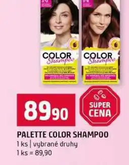 Terno PALETTE COLOR SHAMPOO 1ks vybrané druhy nabídka