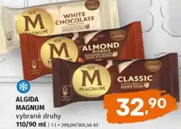 Trefa Algida magnum nabídka