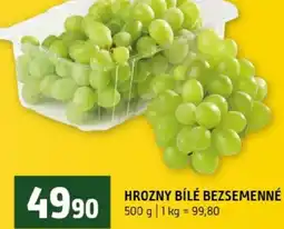 Terno Hrozny bílé bezsemenné nabídka