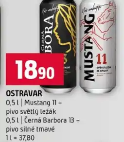 Terno Ostravar nabídka