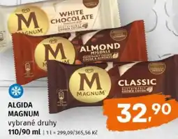 Terno Algida magnum nabídka
