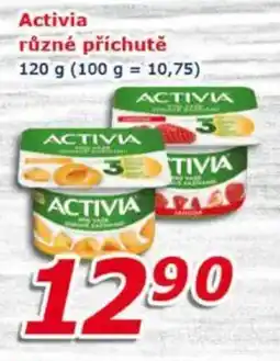 ESO MARKET Activia nabídka