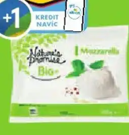 Albert Nature's Promise Bio Mozzarella nabídka