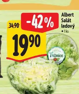 Albert Albert Salát ledový 1ks nabídka
