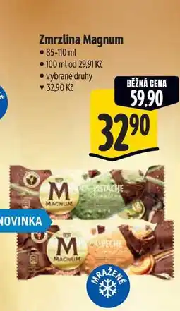Albert Zmrzlina Magnum nabídka