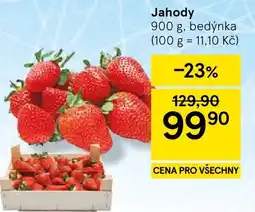 Tesco Jahody nabídka